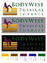 BodyWise_colorSpecs02a
